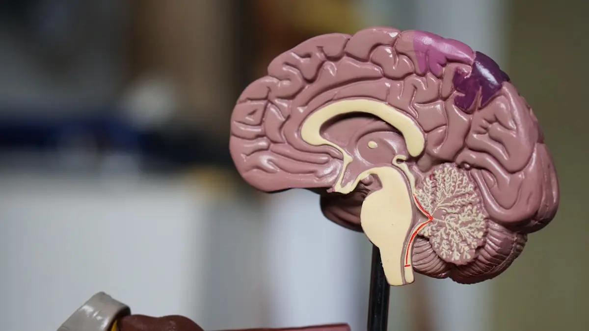 Medic neurolog examinând rezultatele RMN cerebral pe ecran, cabinet medical modern